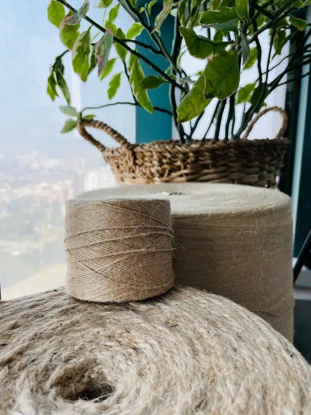 Bangladeshi farmer harvesting golden jute fiber in river waters